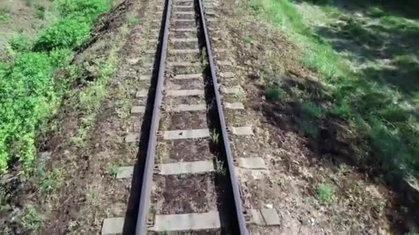 Ormanda Eski Demiryolu Rayları — Stok video