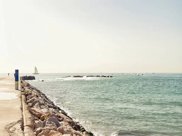 Barcelona City 
