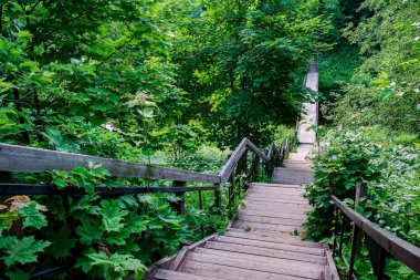 Ahşap dış merdiven