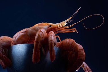 Bir kase içinde Kral karides