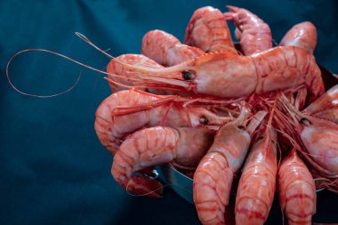 Bir kase içinde Kral karides