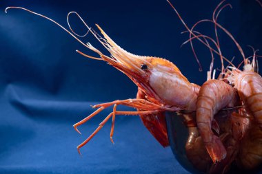 Şeffaf bir kapta Kral karides