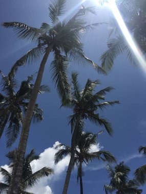 Yaz günü. Zanzibar gökyüzü. Tanzanya Afrika 