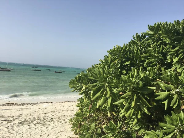 Tanzania Africa Zanzibar Island Beach Summer Day Ocean View Blue — Stock Photo, Image