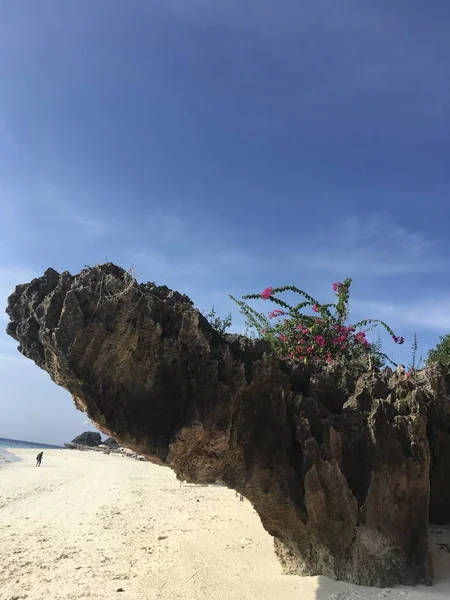 Stone Beach Large Stone Ledge Beach Nungwi Zanzibar Island Tanzania — Stock Photo, Image