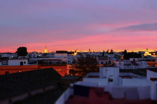 Vacker Utsikt Över Sevilla — Stockfoto