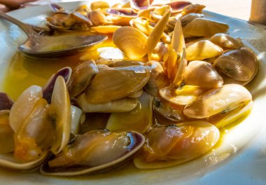 Endülüs 'te deniz kenarında coquinas tayını