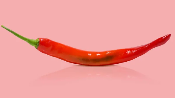 Chilipfeffer Isoliert Auf Weißem Hintergrund Ausgeschnitten — Stockfoto