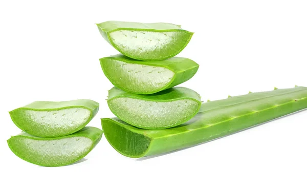 Aloe Vera Sfondo Bianco — Foto Stock