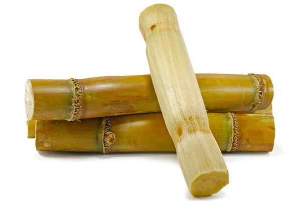 Sugar Cane Isolated White Background — Stock Photo, Image