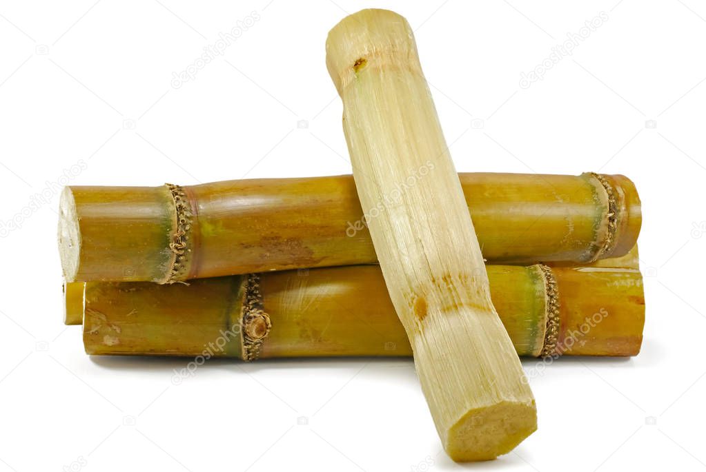 sugar cane isolated on white background