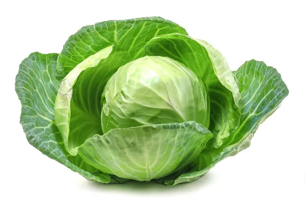 Beyaz arkaplanda yeşil lahana