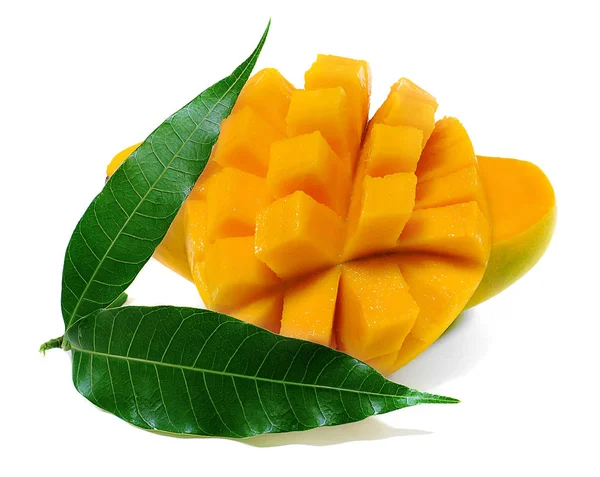 Fruto Mango Verde Aislado Sobre Fondo Blanco —  Fotos de Stock