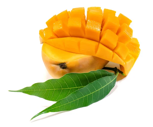 Groene Mango Vruchten Geïsoleerd Witte Achtergrond — Stockfoto