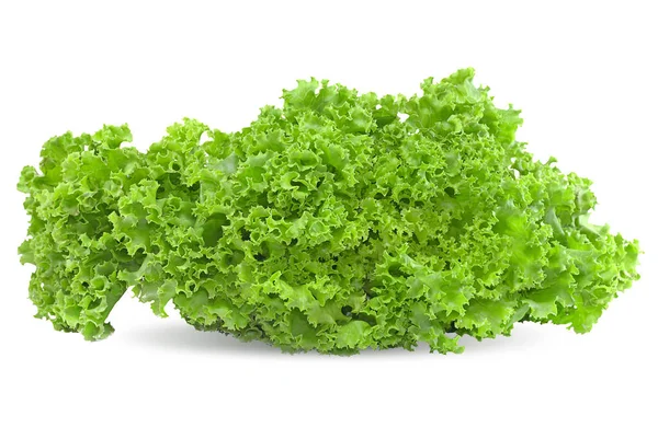 Salada Vegetal Alface Isolada Sobre Fundo Branco — Fotografia de Stock