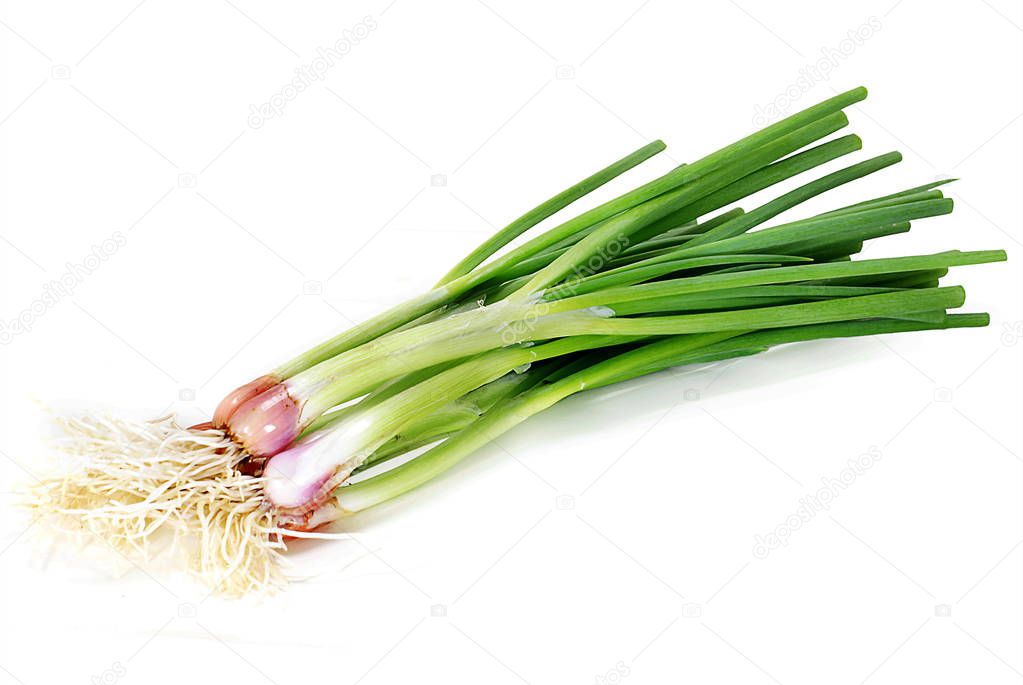 fresh leek onions isolated on white background 