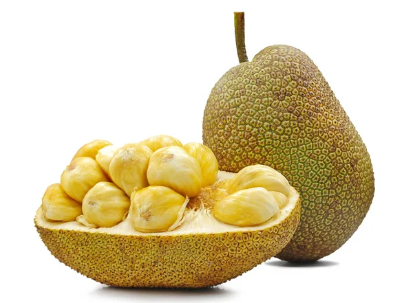 Verse Jackfruit Uitgesneden Geïsoleerd Witte Achtergrond — Stockfoto