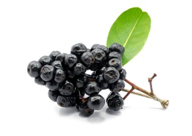 Beyaz arkaplanda izole edilmiş Jambolan eriği veya Java eriği