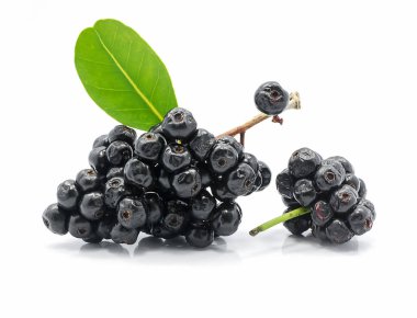 Jambolan erik beyaz arka plan izole