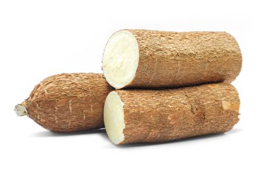 Taze Manyok kökü beyaz arka plan üzerinde izole 