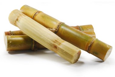 Beyaz arkaplanda izole şeker kamışı