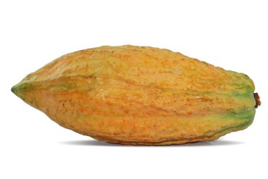 Kakao meyvesi beyaz arkaplanda izole