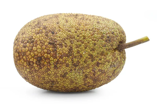 Färsk Jackfruit Isolerad Vit Bakgrund — Stockfoto