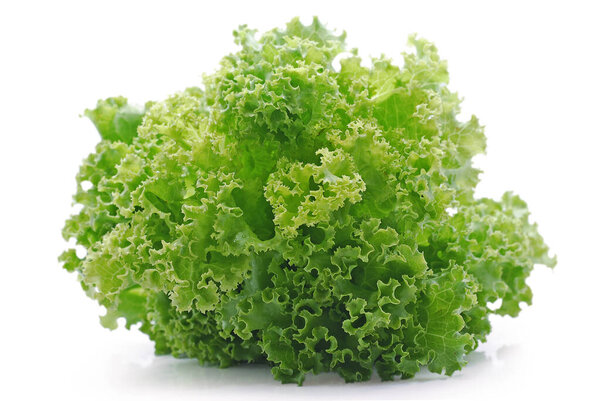 Fresh lettuce salad isolated on white background
