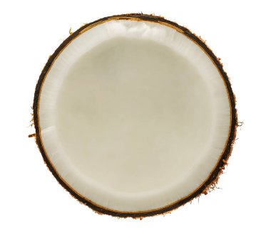 Beyaz arkaplanda hindistan cevizi palmiyesi meyvesi izole