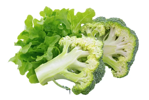 Brokkoli Isoliert Auf Weißem Hintergrund — Stockfoto