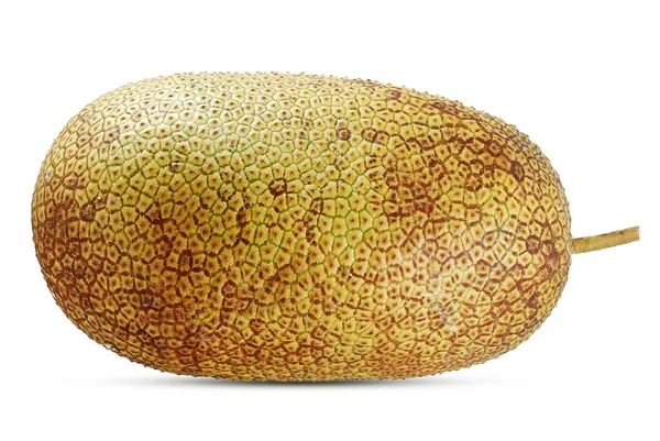 Jackfruit Manis Diisolasi Pada Latar Belakang Putih — Stok Foto