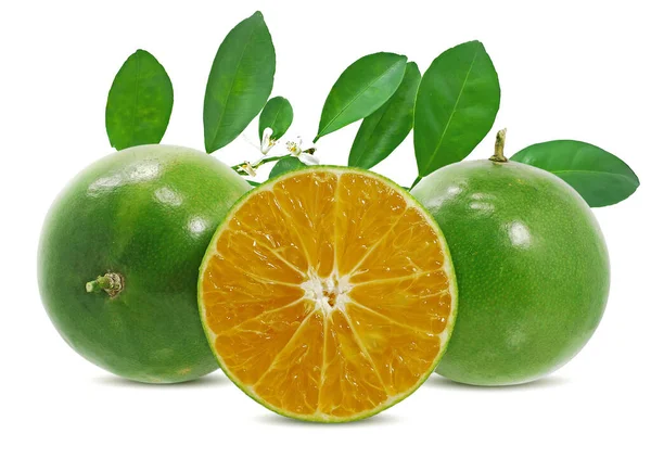 Calamansi Groen Oranje Vruchten Geïsoleerd Witte Achtergrond — Stockfoto