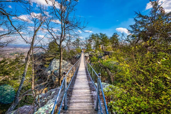 Rock City Gardens в Чаттануге, Теннесси, США — стоковое фото