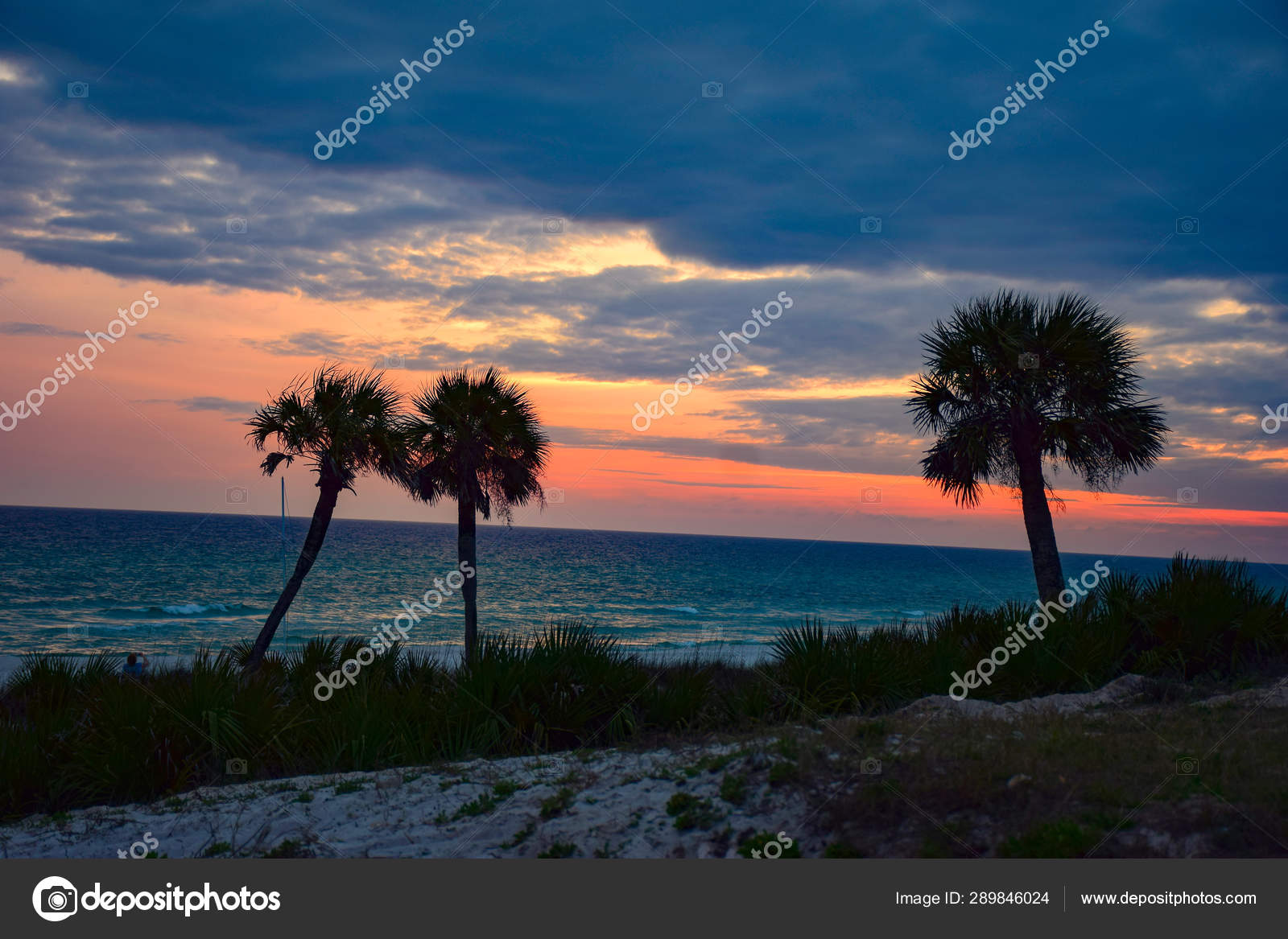 Hermosa silueta de la puesta del sol de la palmera en Panama City Beach,  Flor — Foto de stock #289846024 © Kevin@collegevibe.com, image size:1600x1167