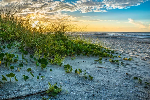 Dunas de arena de playa al amanecer — Foto de Stock