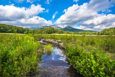 Ön Planda Creek Deresi ile Table Rock Sıradağları