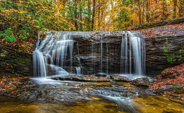 Дика кішка падає біля таблиці Rock State Park в Грінвілл, Південна Каліфорнія — стокове фото