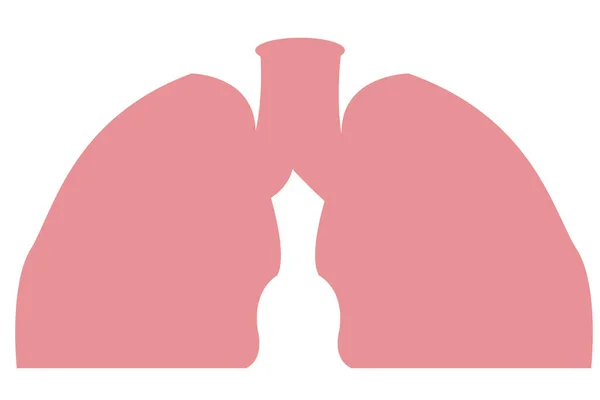 Covid 19或Corona Virus Lungs Vector Human Respiratory System Lungs Anatomy — 图库照片