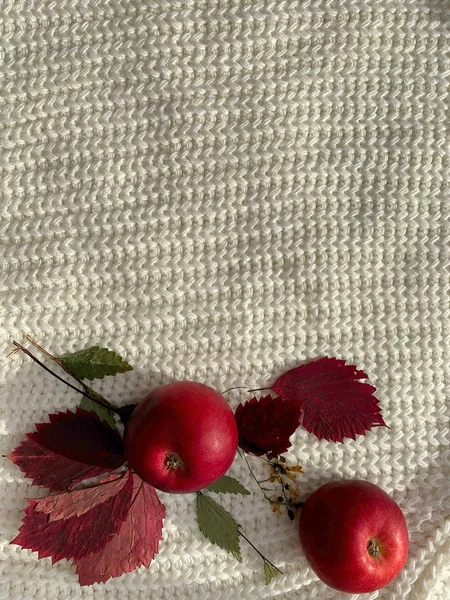 Manzanas rojas, hojas de otoño. Bodegón de otoño . — Foto de Stock