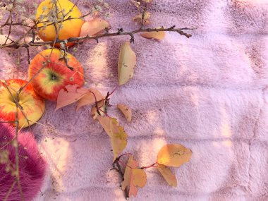 Pembe arka planda sonbahar sakin bir hayat. 