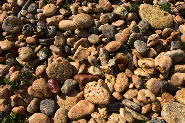 Pedras Marinhas Multicoloridas Fundo Pedrinhas Molhadas Junto Mar Fundo Mar — Fotografia de Stock