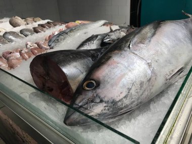 Ölü ton balığı ve imparator balıkları bir alışveriş merkezinin kasaplığında süpermarkette satışta tutuluyor.