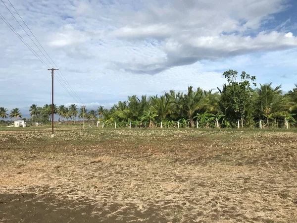 Nature garden with open land of agriculture is under famine period due to inadequacy of rain