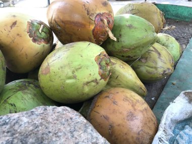 Taze doğal hindistan cevizi kabuğu enerjik ve sağlıklı bir içecektir ve yaz mevsiminde insan vücudundaki ısıyı azaltmak için en iyisidir.