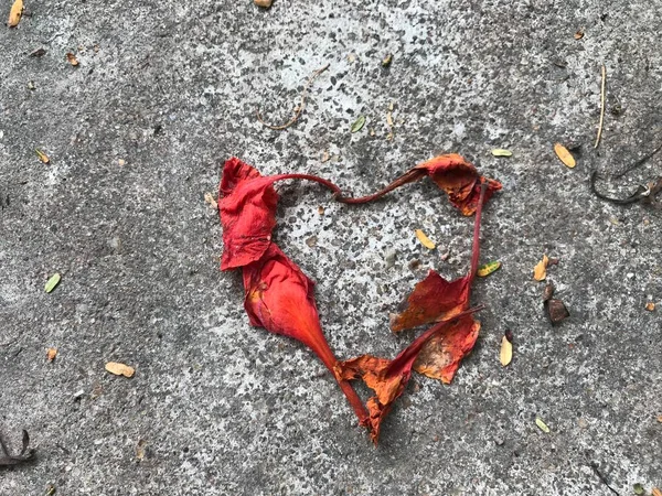 Herzförmige Gefallene Getrocknete Blumen Über Dem Betonhintergrund Sind Ein Symbol — Stockfoto