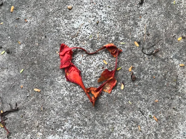 Heart shaped fallen dried flowers above the concrete background is an symbol or sign of an failed love may be