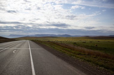Tarlanın ortasında işaretler olan geniş bir yol.