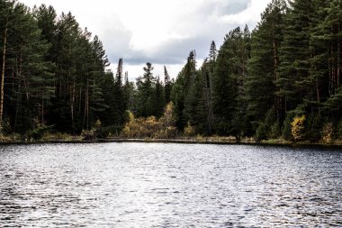 Ormanın ortasındaki büyük gölün güzel panoramik manzarası