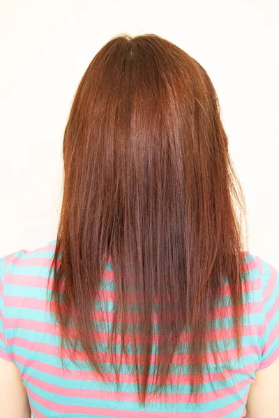 Lång kvinnlig hår kastanj färg bakom flickan — Stockfoto