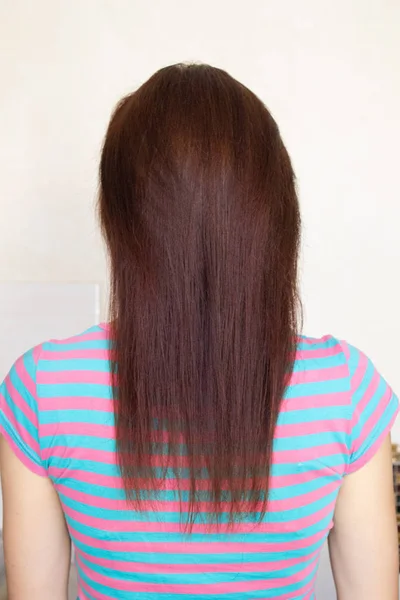 Long female hair chestnut color behind the girl — ストック写真